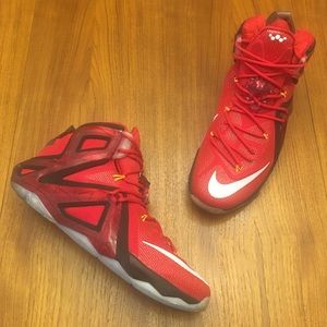 lebron 12 elite team
